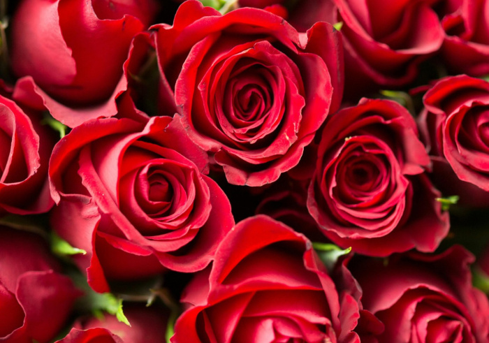 Infolettre du mois de f&eacute;vrier 2025