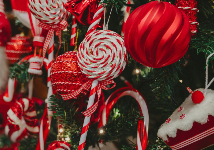 Infolettre du mois de d&eacute;cembre 2024